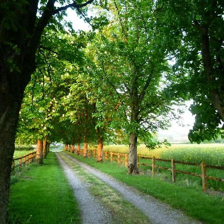 Gite Le Tremblay Thianges Exterior foto